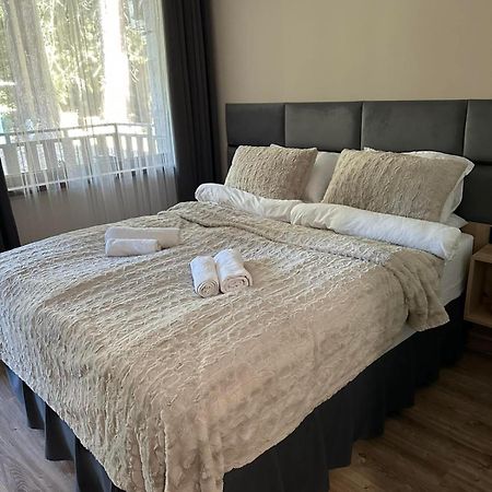 Cozy Riverside Pine Studio E5 Borovets Esterno foto